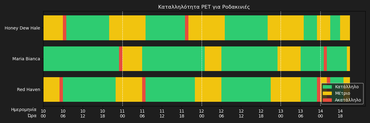 orange_pet